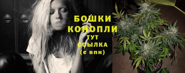 ПСИЛОЦИБИНОВЫЕ ГРИБЫ Вязники
